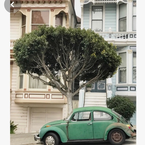 Hi! I’m Ann. Thank you for visiting my closet! - Picture 7 of 7